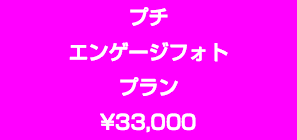 プチ エンゲージフォト プラン ¥30,000